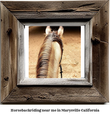 horseback riding near me in Marysville, California